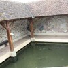 La Fontaine au Bron - Le lavoir et ses poissons