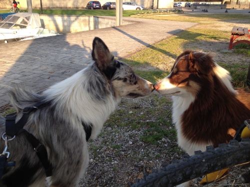 Une belle rencontre