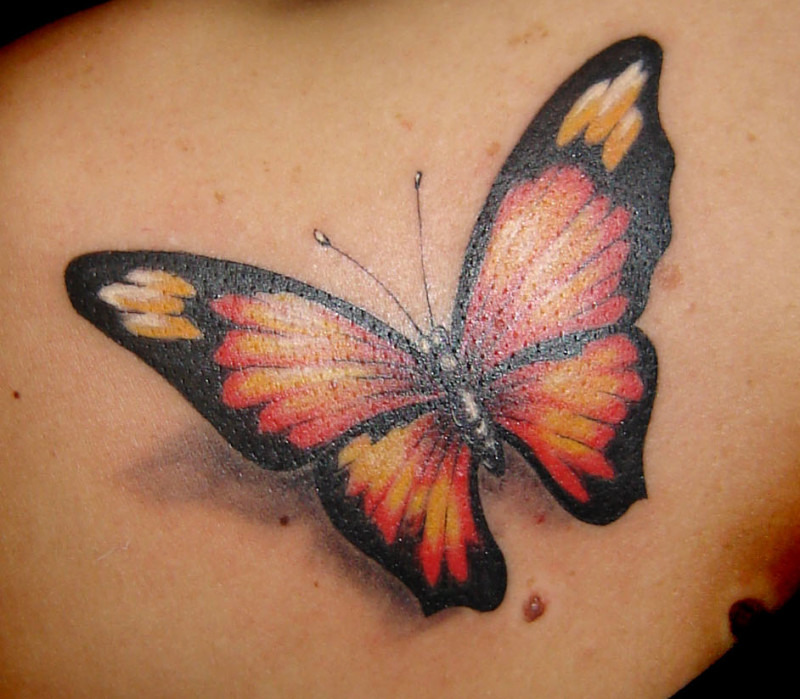 tatouage-3​d-papillon​-dos-femme