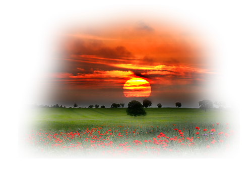 Paysage coucher de soleil / 4