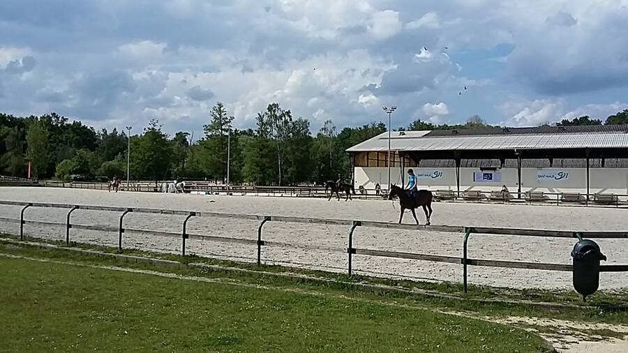 suite lundi de pentecôte - le haras de Marolles