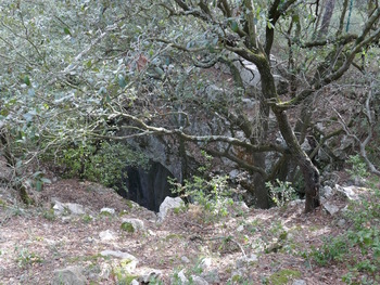 Ce que l'on peut voir de l'aven de Grand Caunet