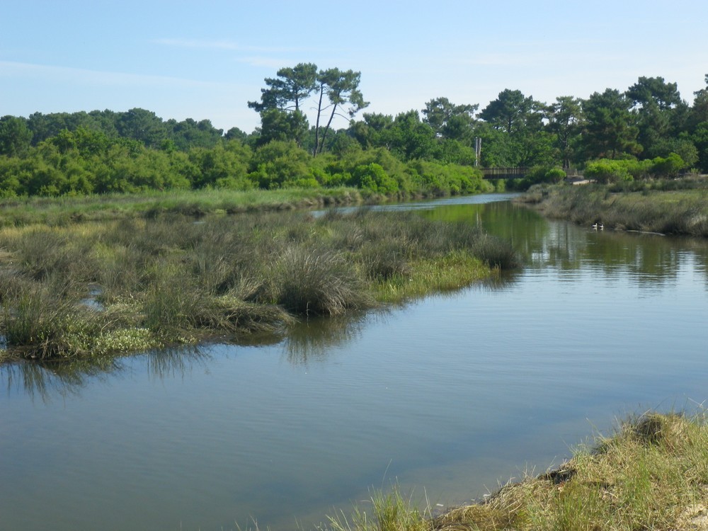 Le petit canal d'Arès en canoë...