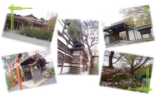 Jeudi 9 avril 2015 – Les Temples de Kyoto