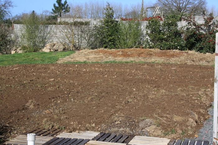 Un massif sans bêchage