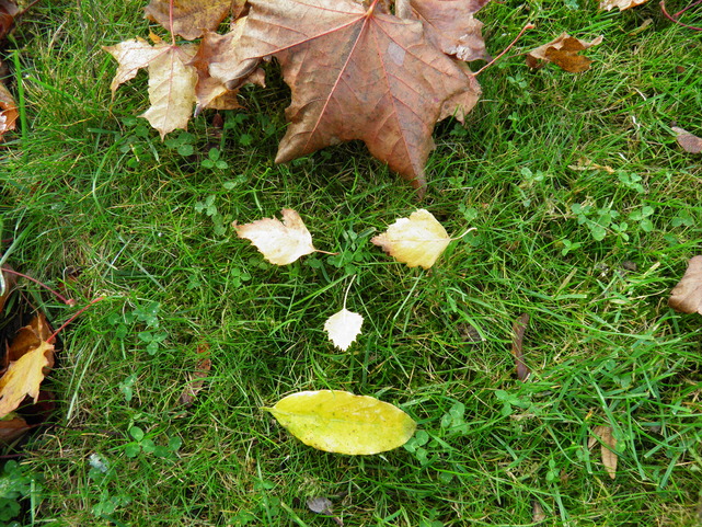 Bel automne, tu rayonnes...