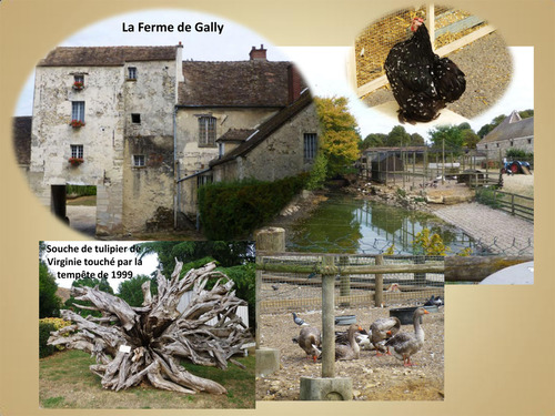 Emplettes royales dans le parc du château de Versailles et à la Ferme de Gally