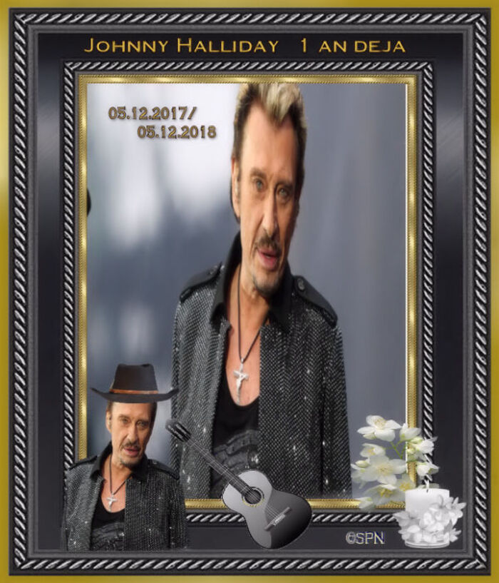 Johnny Halliday (4)