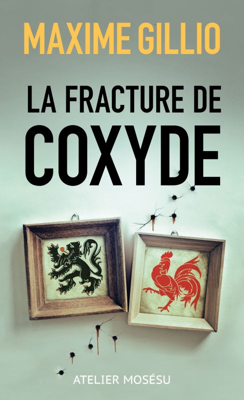 La fracture de Coxyde - Maxime Gillio