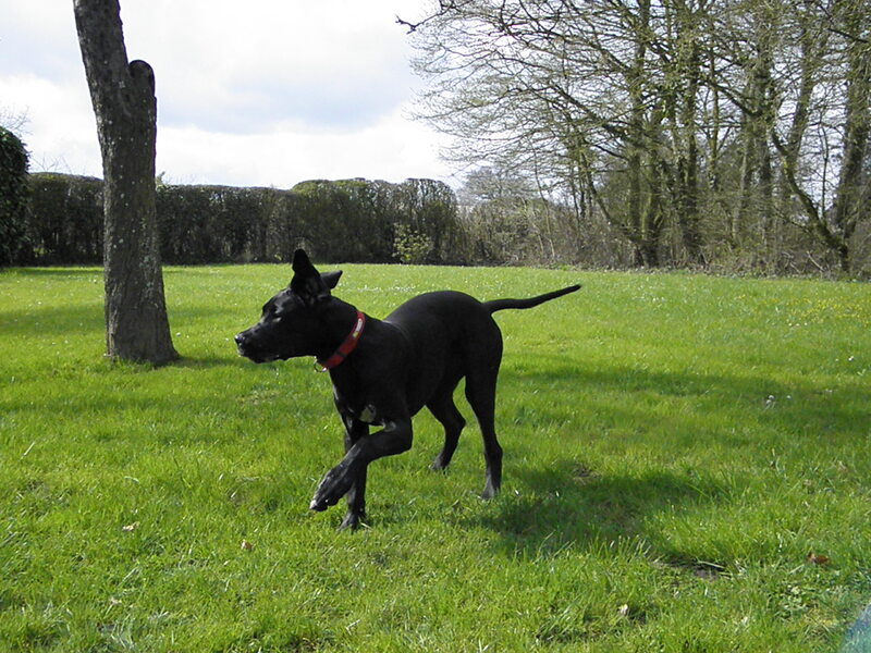 Jyane dans le Maine-et-Loire, le 28 mars 2015