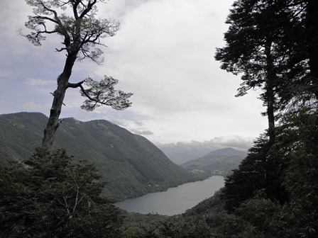 Parque Nacional Huerquehue