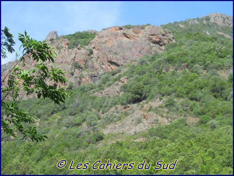 Le Bocca de Eltru, vallée du Fango, Corse.