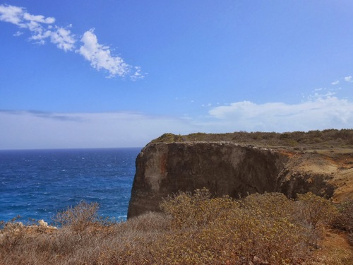 Balade " la trace des falaises" Anse Bertrand 