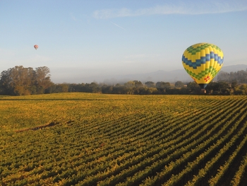 up-and-away-ballooning