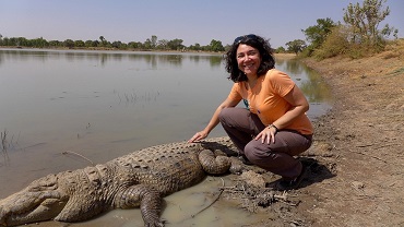 Les crocodiles sacrés ... 