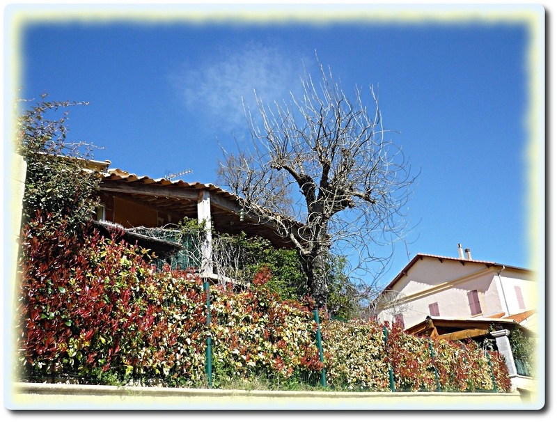 Joli petit village provençal