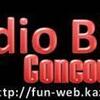 radio blog concours.jpg