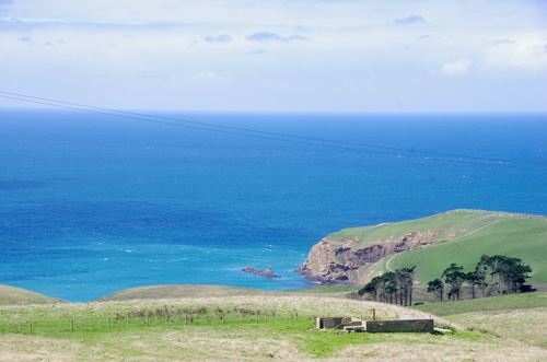 Jour 10 - Otago Peninsula