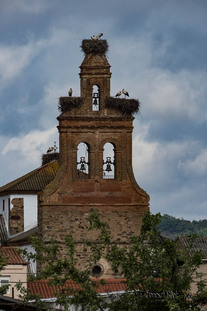 2e jour de marche : Villadongos - Hospital de Orbigo 12km 3h de marche