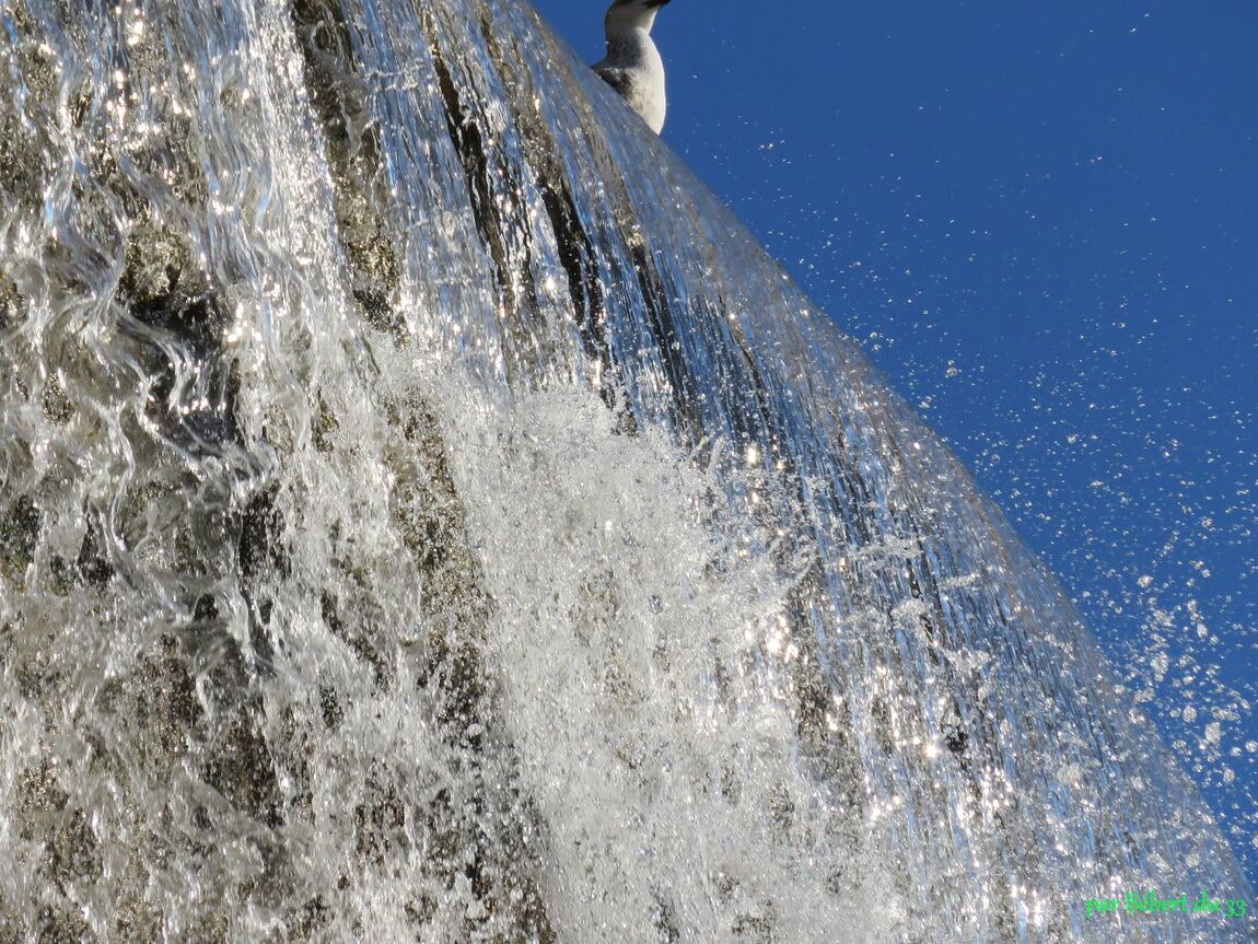 une cascade à Nice