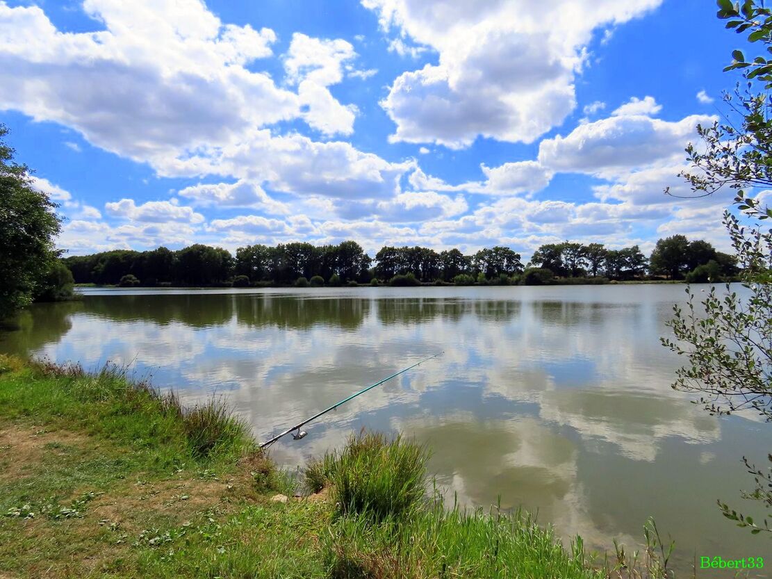 au lac de Vendrennes