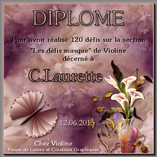 Diplôme reçu chez violine 