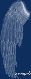 Tubes : Brushs/ailes d'ange