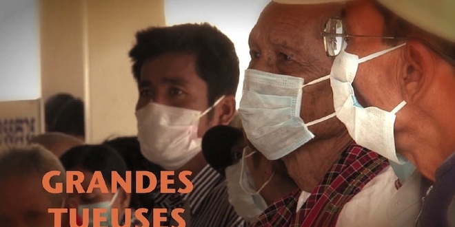 Grandes tueuses : un webdoc sur les pathologies les plus meurtrières