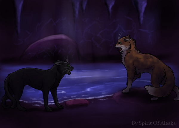 (Traduction) Chapitre 4 de Hollyleaf's Story