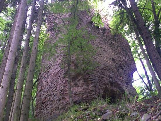 Ruine du château de Reichenstein