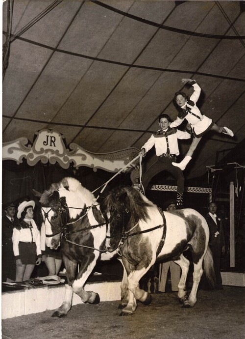 Bella et Alexis Gruss le 27 mars 1957 au cirque-Zoo Jean Richard ( direction Gruss-Jeannet)