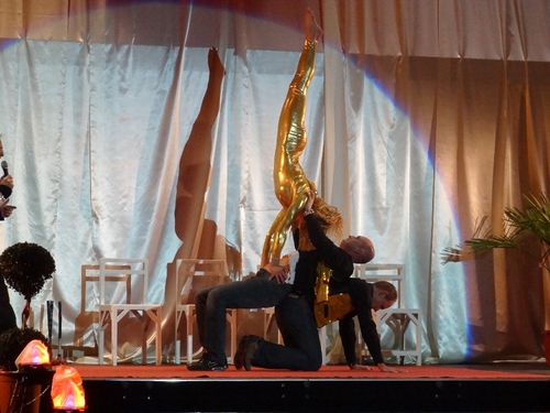 "Sandrine et ses tissus aériens" , un très beau spectacle donné aux Lauriers du Sport 2011...