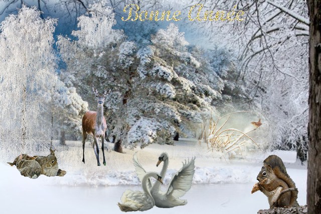 Paysage neige Bonne annÃ©e