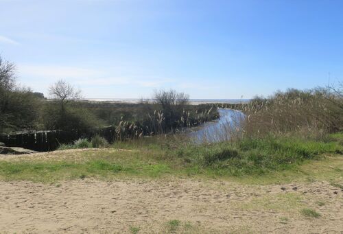 Randonnée les 3 eaux de Saint-Brice à Arès