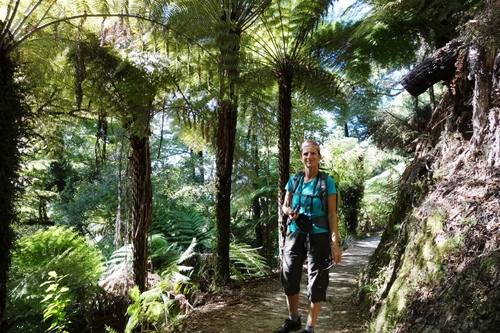  Les Queen Charlotte et la randonnée de Abel Tasman