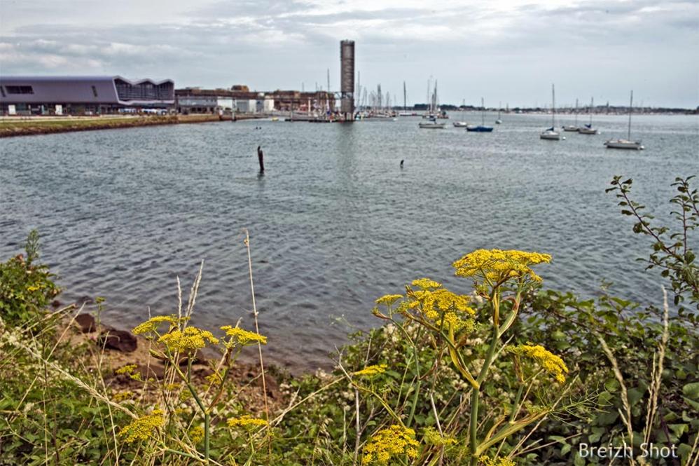 Cité de la Voile Lorient - Site multimédia