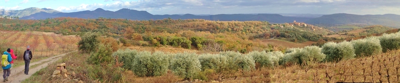 chemin de ronde des collines d'Usclas du Bosc