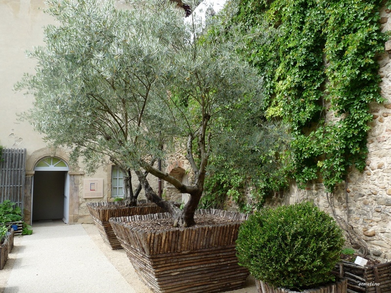 ABBAYE DE SAINT ANTOINE