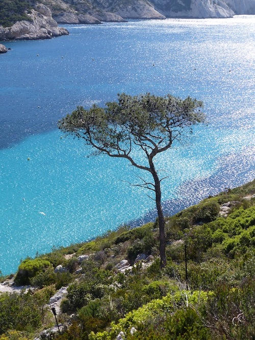 Calanque de Sormiou