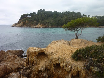 Le cap de Léoube depuis notre coin de pique-nique