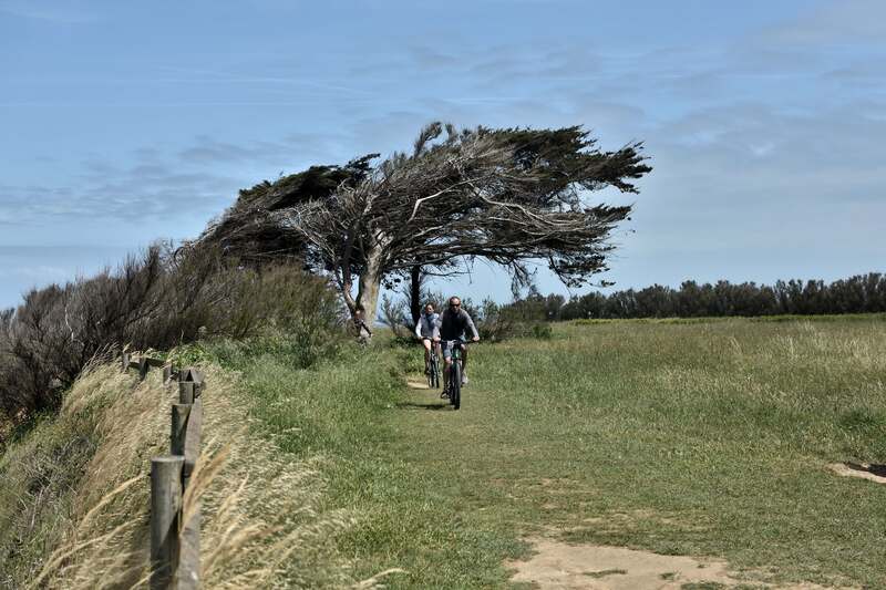 2018.05.09 Port des Salines, phare de Chassiron, Baudissière d'Oléron (Charente-Maritime)2