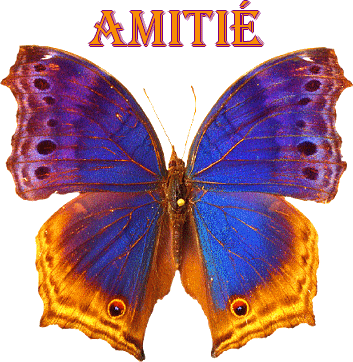 rencontre amitie sherbrooke