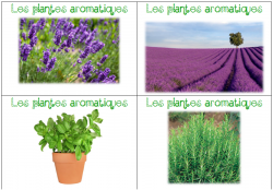 Jeux de français Cycle 2