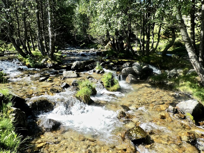 Peut être une image de étendue d’eau