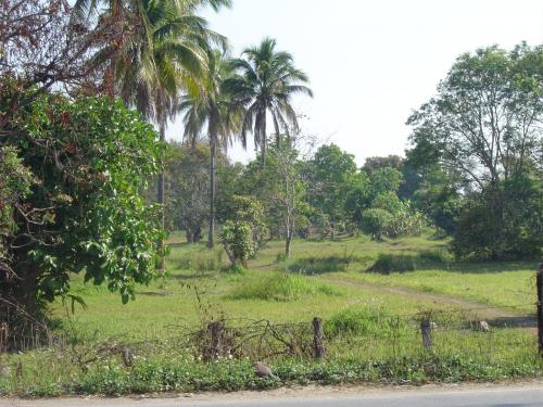 La Thaïlande en images