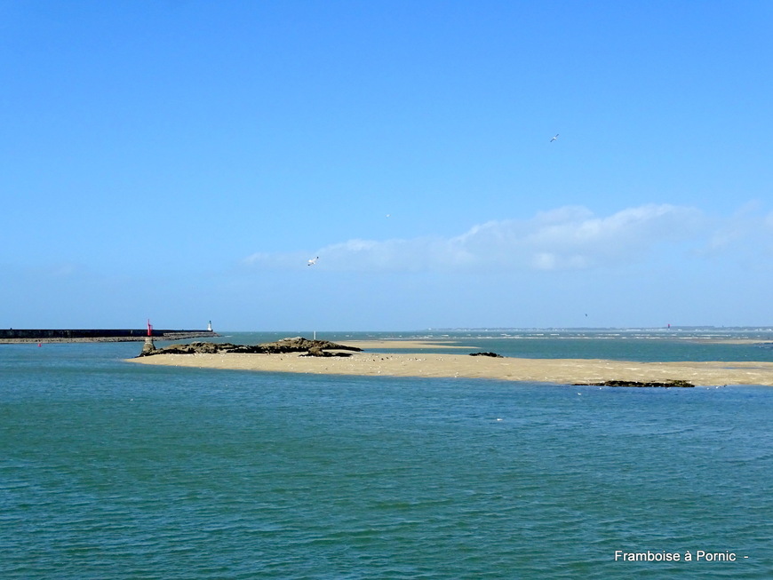 Balade sur le port du Croisic 