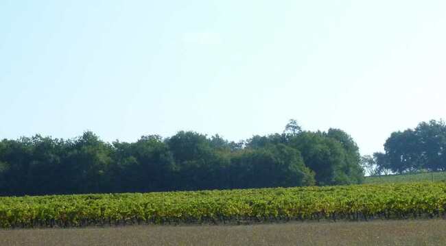 Découverte de moulins à Jonzac.