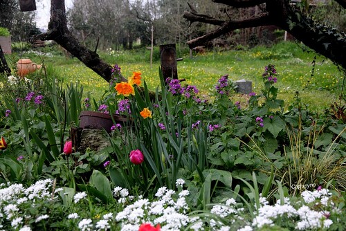 Un étrange printemps...