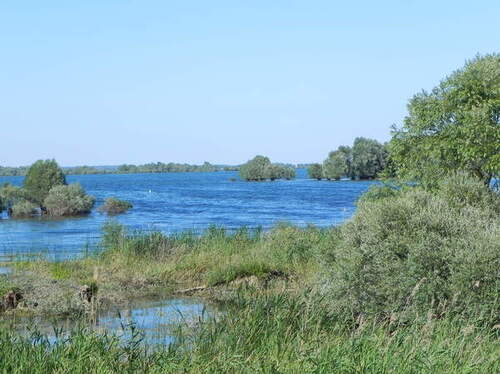 La forêt d'Orient et ses lacs