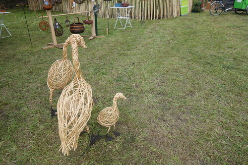 Fête des plantes à Jossigny ( 77 ) ...